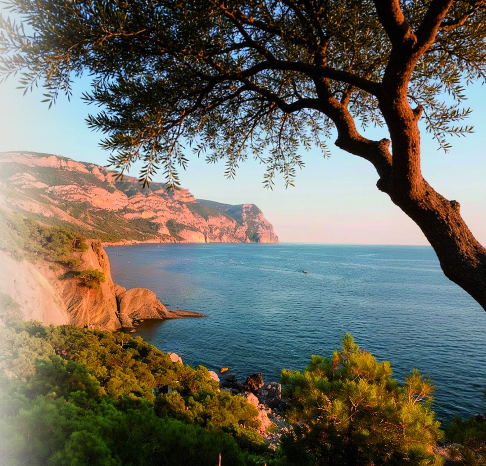 Mediterranean wellness lifestyle