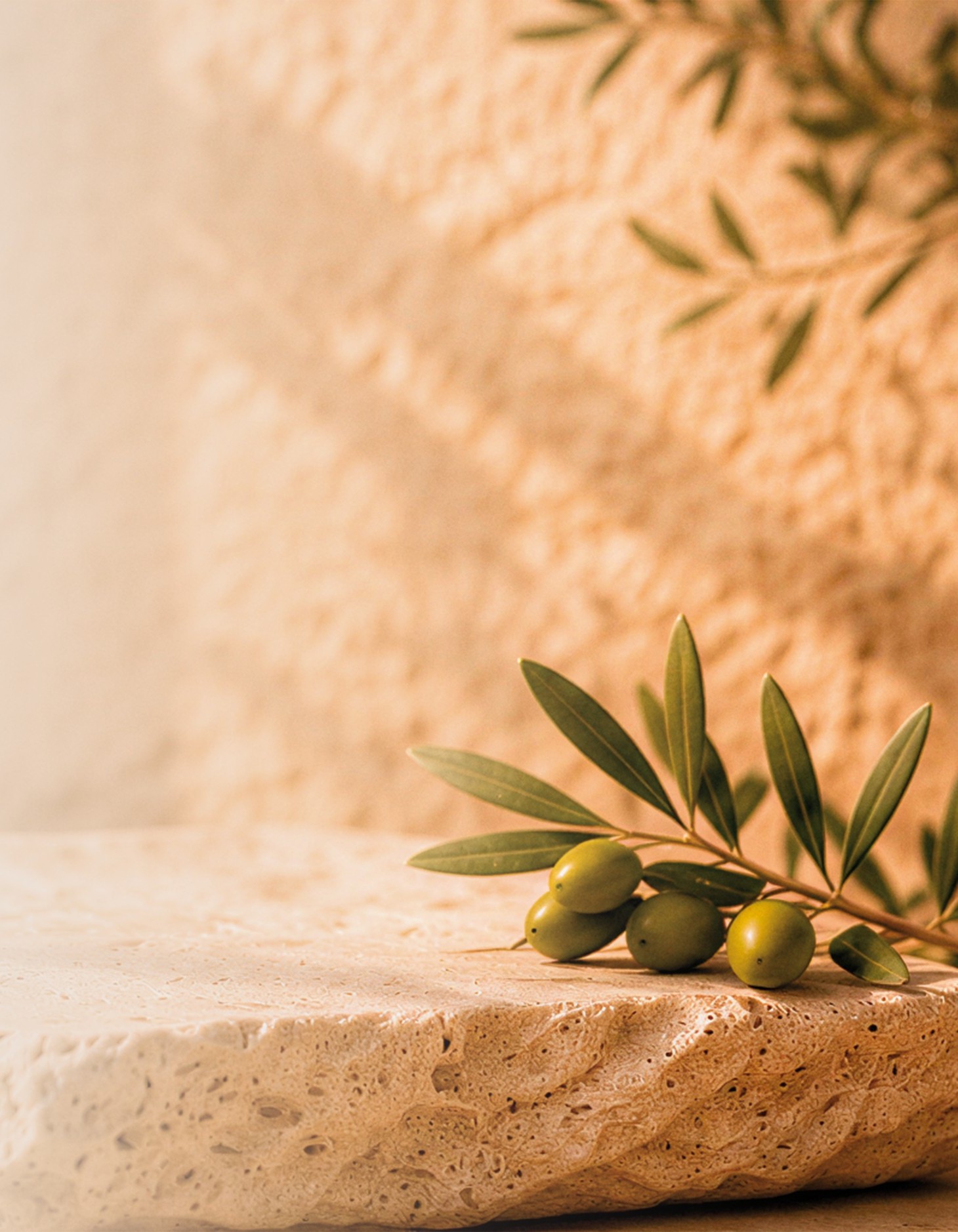 Mediterranean landscape